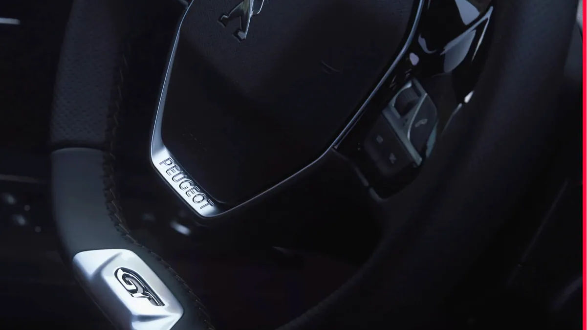 3008-volante